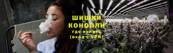 крисы Нягань