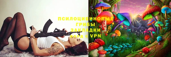 стаф Верея