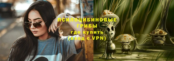 mdma Няндома