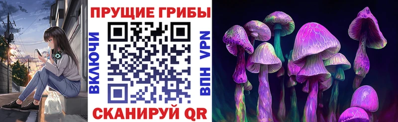 купить наркотики сайты  Ковылкино  Псилоцибиновые грибы Psilocybe 